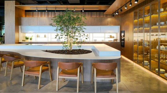 A beleza da simplicidade: cozinhas modernas e minimalistas